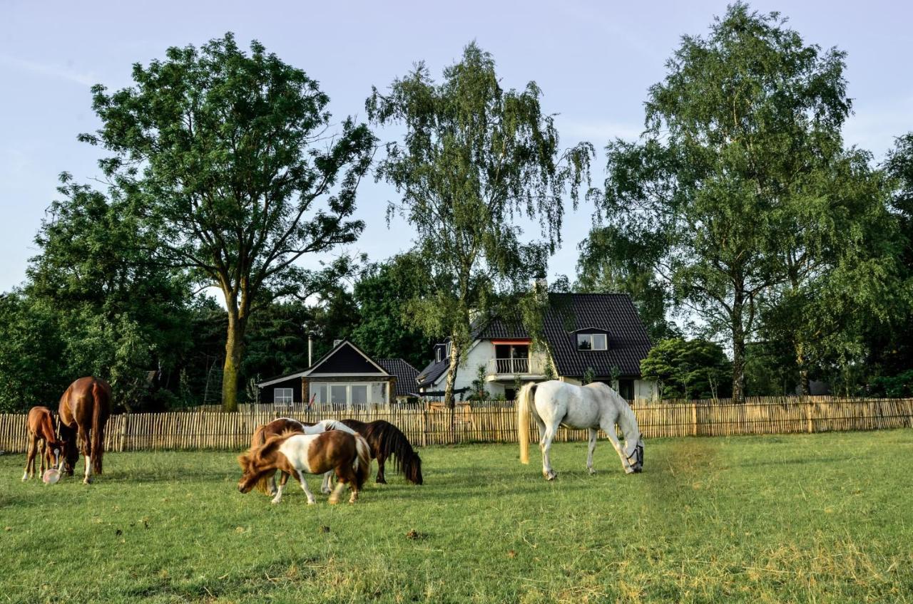 Bed & Breakfast De Zandhoef Eersel Exterior photo