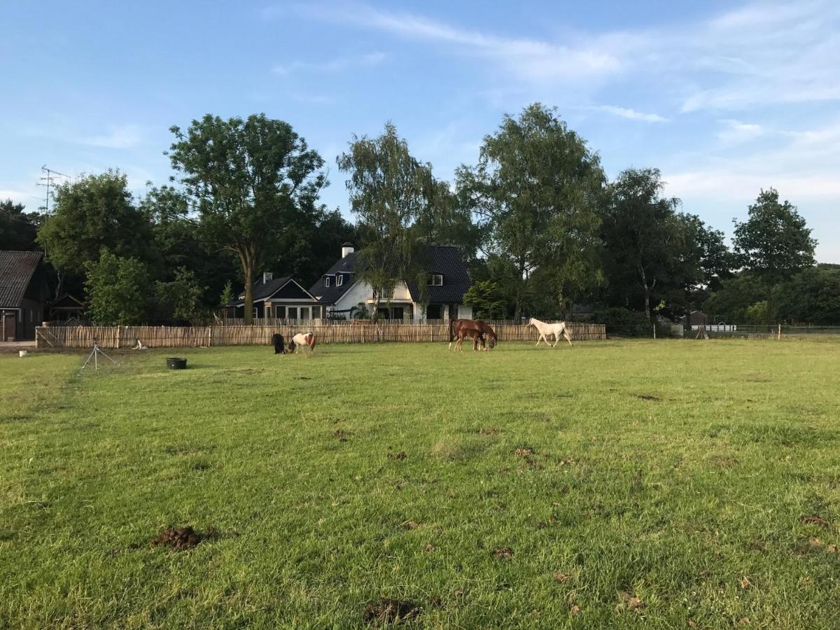Bed & Breakfast De Zandhoef Eersel Exterior photo